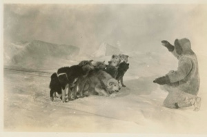 Image: MacMillan feeding dogs